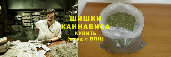 ГАЛЛЮЦИНОГЕННЫЕ ГРИБЫ Аркадак