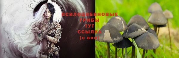тгк Армянск