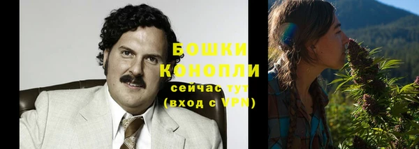 ГАЛЛЮЦИНОГЕННЫЕ ГРИБЫ Аркадак